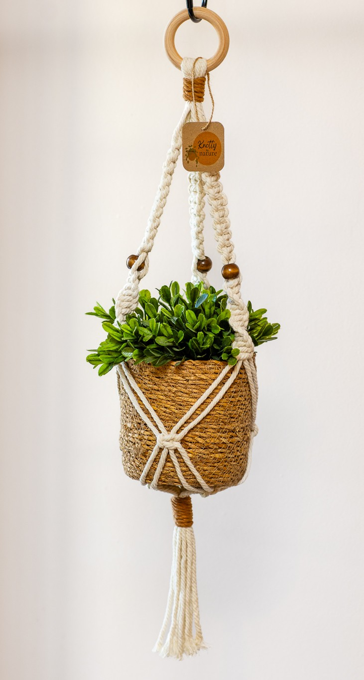 Plant hanger
