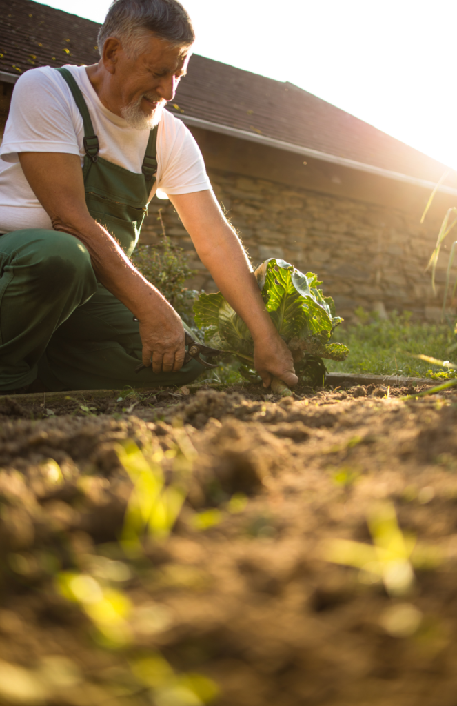 Person gardening